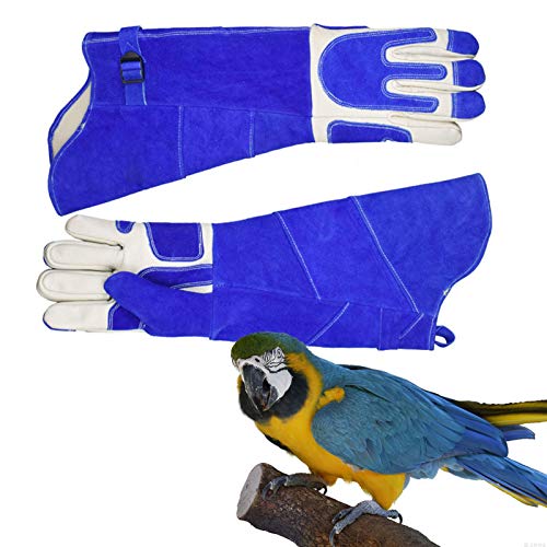 LY-Rack Guacamayo Monje Periquito Periquito Sol Guantes Anti Mordida Manejo de Animales Guantes de Cuero Suave a Prueba de arañazos Guantes Protectores Resistentes a Las mordeduras (Size : XL)