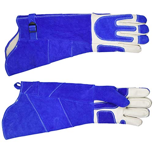 LY-Rack Guacamayo Monje Periquito Periquito Sol Guantes Anti Mordida Manejo de Animales Guantes de Cuero Suave a Prueba de arañazos Guantes Protectores Resistentes a Las mordeduras (Size : XL)