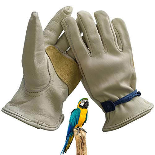 LY-Rack Guantes para manejo de Periquito Monje Periquito, Guantes de protección de Animales Salvajes de jardinería Anti-mordidas/arañazos para Gato, pájaro, Serpiente, Loro, Lagarto