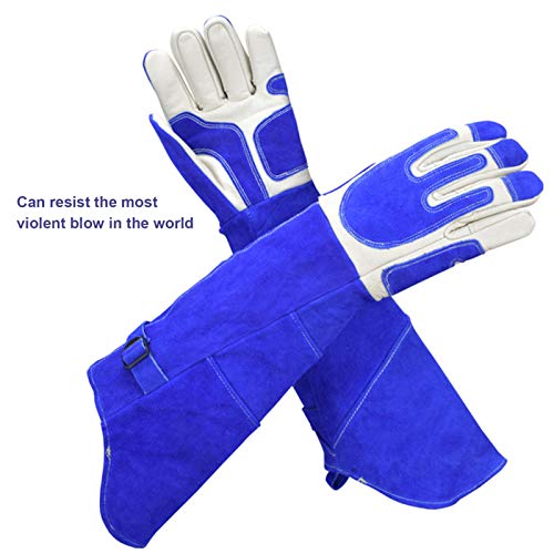 LY-Rack Guantes Trabajo Seguridad Anti-mordidas/arañazos Monk Parakeet, Tratamiento Mascotas Guantes para raspar Guantes protección Vida Silvestre Perro Gato Serpiente Loro Lagarto (Size : XL)