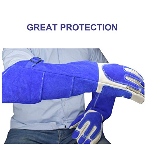 LY-Rack Guantes Trabajo Seguridad Anti-mordidas/arañazos Monk Parakeet, Tratamiento Mascotas Guantes para raspar Guantes protección Vida Silvestre Perro Gato Serpiente Loro Lagarto (Size : XL)