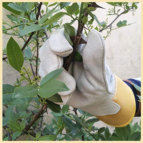 LY-Rack Guantes Tratamiento Trabajo Anti-mordidas/arañazos Seguridad para Mascotas, Guacamayo Perico Monje Periquito Sol para Guantes protección Vida Silvestre Gato pájaro Serpiente Loro Lagarto