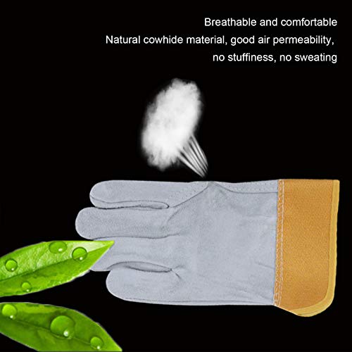 LY-Rack Guantes Tratamiento Trabajo Anti-mordidas/arañazos Seguridad para Mascotas, Guacamayo Perico Monje Periquito Sol para Guantes protección Vida Silvestre Gato pájaro Serpiente Loro Lagarto