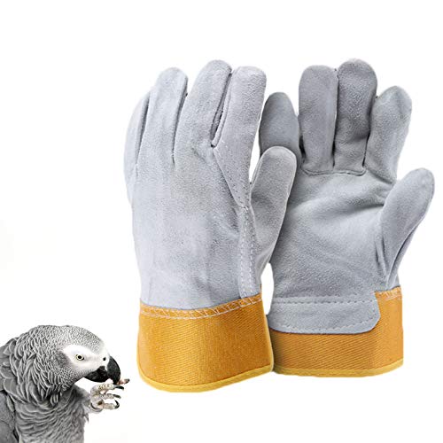 LY-Rack Guantes Tratamiento Trabajo Anti-mordidas/arañazos Seguridad para Mascotas, Guacamayo Perico Monje Periquito Sol para Guantes protección Vida Silvestre Gato pájaro Serpiente Loro Lagarto