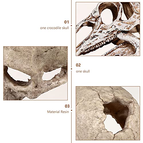 M I A 2 piezas de resina artificial dinosaurio cráneo esqueleto acuario ornamento cráneo esqueleto cueva escondite reptiles casas decoración para peceras acuario cueva paisaje