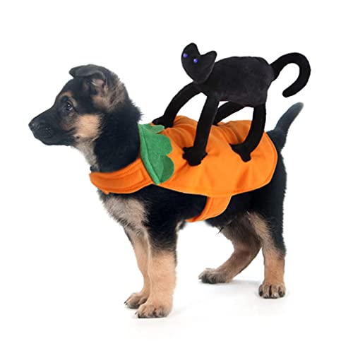 M I A Disfraz de gato de Halloween para mascotas, ropa de perro, vestido de hadas de gato negro, para perros pequeños, medianos, cobayas, gatito (color: negro naranja, tamaño: 26 x 41 cm)