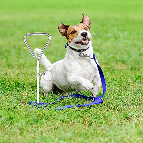 M I A Estaca para perro para atar en el patio, hierro resistente, rotación de 360 grados, para perros, al aire libre, acampada