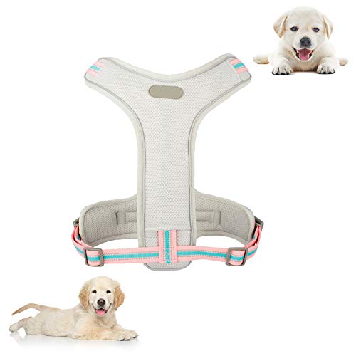 MAFANG Arnes de Perro, Antitirones Cómodo Chaleco Ajustable Correa al Cuello y Pecho para Perros Mediano Material Duradero Transpirable con Cinta Reflectante Adaptarse a Ejercer Externo,Gray M