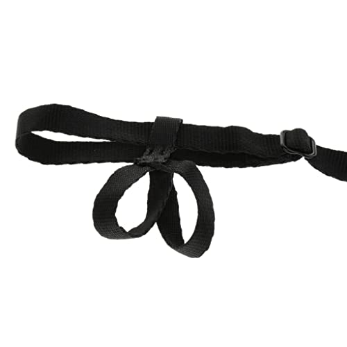 MagiDeal Cuerda de Entrenamiento con Arnés Ajustable para Exteriores Parrot Bird Leash - Negro XS