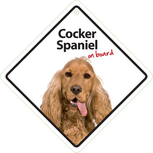 Magnet & Steel Cocker Spaniel On Board