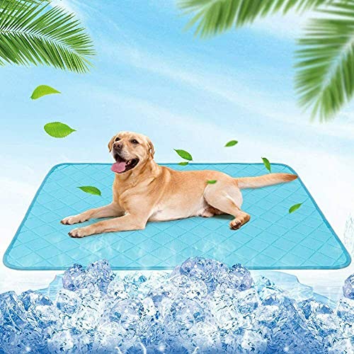 Manta Gato Cojines Perros Cama Perro Verano Estera para Perros, Estera De Verano para Enfriar, Perrera / Venta Al por Mayor Que Contiene Una Manta De 35 Pulgadas X 24 Pulgadas para Perros Y Gatos