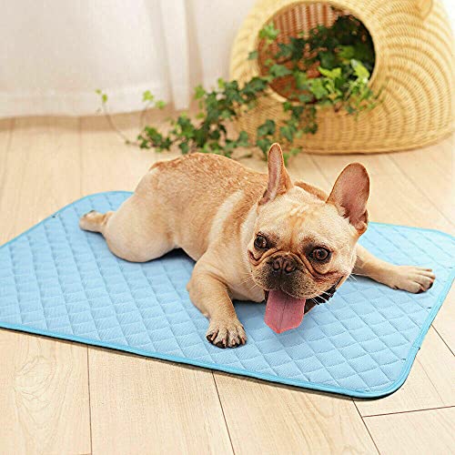 Manta Gato Cojines Perros Cama Perro Verano Estera para Perros, Estera De Verano para Enfriar, Perrera / Venta Al por Mayor Que Contiene Una Manta De 35 Pulgadas X 24 Pulgadas para Perros Y Gatos