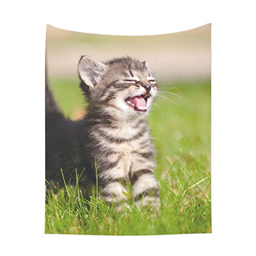 Manta para Gatos Adorable Meowing Tabby Gatito al Aire Libre Mantas para Perros Mantas para Perros de Lana esponjosa de Primera Calidad Mantas Suaves y cálidas para Mascotas para Camas, sofás, jaulas