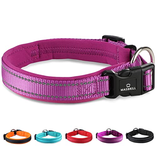 MASBRILL Collar de Perro Duradero y Reflectante, Ajustable Collar para Perros Grandes o Pequeños, Fabricado de Nylon con Suave Acolchado (Morado XL)