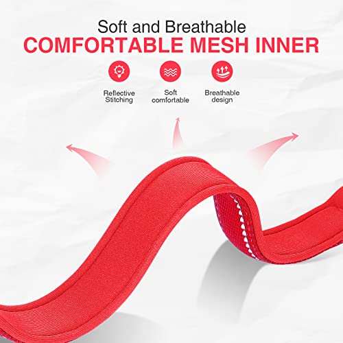 MASBRILL Collar de Perro Duradero y Reflectante, Ajustable Collar para Perros Grandes o Pequeños, Fabricado de Nylon con Suave Acolchado (Rojo S)