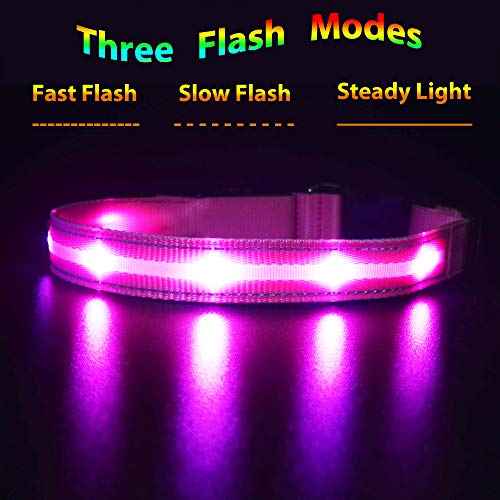 MASBRILL Collar LED Perro, Collar para Perro Luminoso Recargable y Impermeable, 3 Modos de Iluminación led y Tamaño Ajustable para Perros Pequeños Medianos Grandes(Rosa XS)