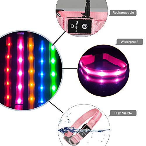 MASBRILL Collar LED Perro, Collar para Perro Luminoso Recargable y Impermeable, 3 Modos de Iluminación led y Tamaño Ajustable para Perros Pequeños Medianos Grandes(Rosa XS)