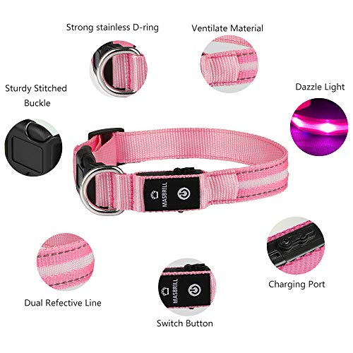 MASBRILL Collar LED Perro, Collar para Perro Luminoso Recargable y Impermeable, 3 Modos de Iluminación led y Tamaño Ajustable para Perros Pequeños Medianos Grandes(Rosa L)