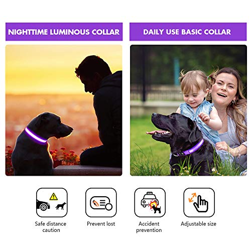 MASBRILL Collar Luminoso Perro de Mascota, 3 Modos Collar Luz Perro con Recargable y Impermeable, Ajustable Collares LED para Perros Pequeños/Medianos/Grandes(Morado S)