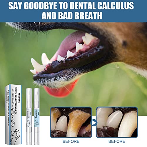 Mascotas Pluma Limpieza Dientes Herramienta Perros Gatos Dientes Sarro Dental Gato Perro Calculus Stones Removedor Raspador Belleza Diente, Hogar Mascota Tartar Herramientas Limpieza Piedras