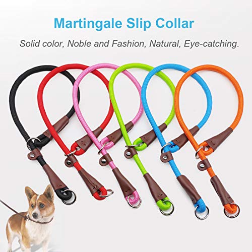 MayPaw Collar antideslizante de cuerda de nailon para entrenamiento de perros, collar de perro de martingala redondo sin tirón para perros pequeños, medianos y grandes