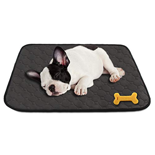 MEIJIEM 2 Piezas Alfombras de Adiestramiento para Perros y Gatos - Pañales Impermeable Sanitarias Lavables y Reutilizables para Mascotas Pequeños y Medianos(60 * 45cm)