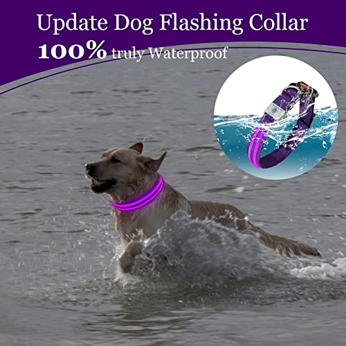 MELERIO Collar Luminoso Perro de Mascota 3 Modos Collar Perro Luz con Recargable y Impermeable, Ajustable Collares LED para Perros Pequeños/Medianos/Grandes