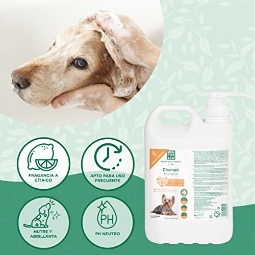 MENFORSAN Champú para Perros Aceite de Macadamia 5L, Nutre y abrillanta, Poder desenredante