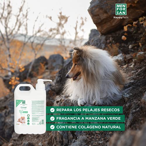 MENFORSAN Champú perros hidratante 5L, Hidrata, protege y refresca