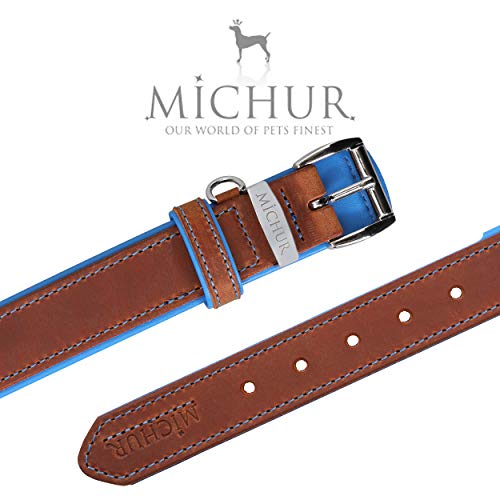 MICHUR Charly Cielo Collar de Cuero para Perros, Cuello, marrón con Costuras Azules y un Anillo para la Placa de identificación, Cuero, Disponibles en Diferentes tamaños, 62cm