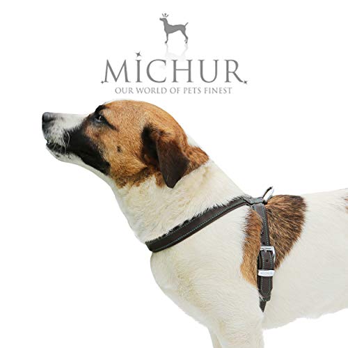 MICHUR Cucciolo Arnés para Perro de Cuero, arnés de Cuero para Perros pequeños o minis, Cachorros, Marrón, Cuero, Disponibles en Diferentes tamaños