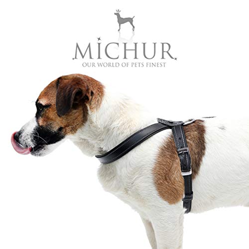 MICHUR Cucciolo Arnés para Perro de Cuero, arnés de Cuero para Perros pequeños o minis, Cachorros, Negro, Cuero, Disponibles en Diferentes tamaños