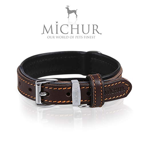 MICHUR Minimo Collar de Cuero para Perros, Cuello, marrón con Costuras Naranja y un Anillo para la Placa de identificación, Cuero, Disponibles en Diferentes tamaños, 41cm