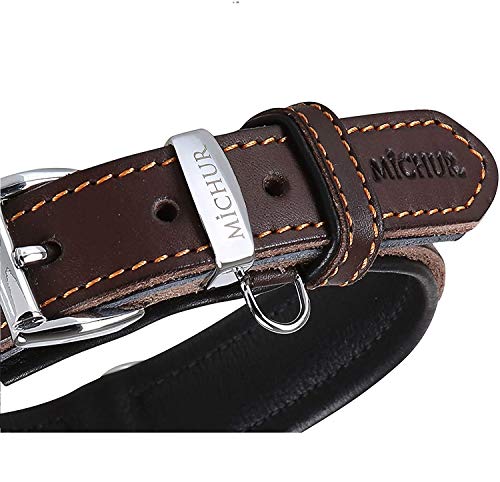 MICHUR Minimo Collar de Cuero para Perros, Cuello, marrón con Costuras Naranja y un Anillo para la Placa de identificación, Cuero, Disponibles en Diferentes tamaños, 35cm