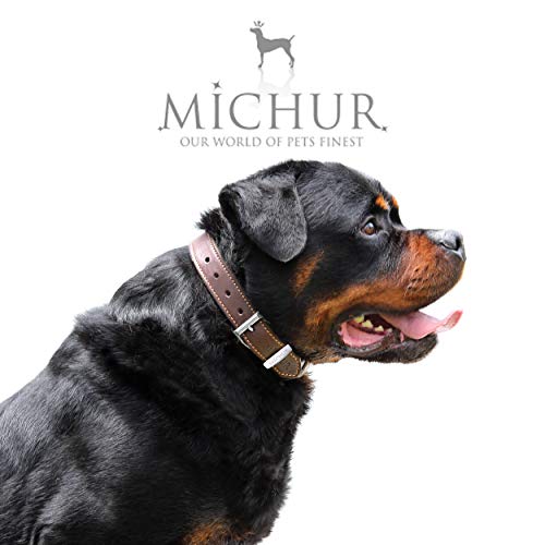 MICHUR Minimo Collar de Cuero para Perros, Cuello, marrón con Costuras Naranja y un Anillo para la Placa de identificación, Cuero, Disponibles en Diferentes tamaños, 41cm