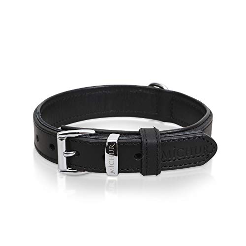 MICHUR Minimo Collar de Cuero para Perros, Cuello, Negro y un Anillo con Placa de identificación para Placas de identificación, Cuero, Disponibles en Diferentes tamaños, 51cm