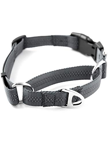 Mighty Paw Collar de Nailon para Entrenamiento, Collar de Nailon Martingale, Cuello con Costuras Reflectantes