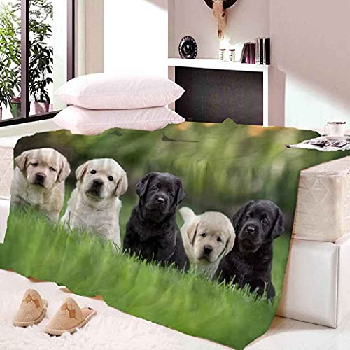 MIJYLD Manta de Felpa de Franela Perro Animal de Hierba Verde Manta 3D Manta de Forro Polar Gruesa Cálida y Esponjosa Manta para el hogar y de Viaje, Manta para sofá Cama, Fácil de cuidar 100x130 cm