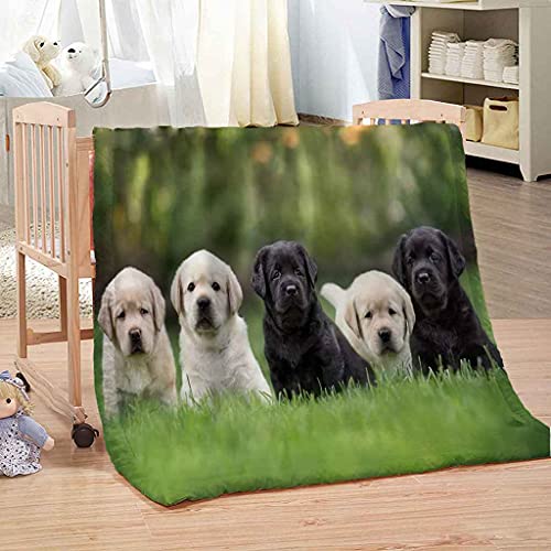 MIJYLD Manta de Felpa de Franela Perro Animal de Hierba Verde Manta 3D Manta de Forro Polar Gruesa Cálida y Esponjosa Manta para el hogar y de Viaje, Manta para sofá Cama, Fácil de cuidar 100x130 cm