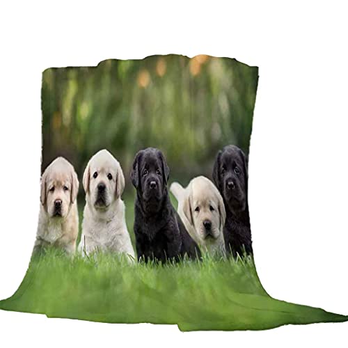 MIJYLD Manta de Felpa de Franela Perro Animal de Hierba Verde Manta 3D Manta de Forro Polar Gruesa Cálida y Esponjosa Manta para el hogar y de Viaje, Manta para sofá Cama, Fácil de cuidar 100x130 cm