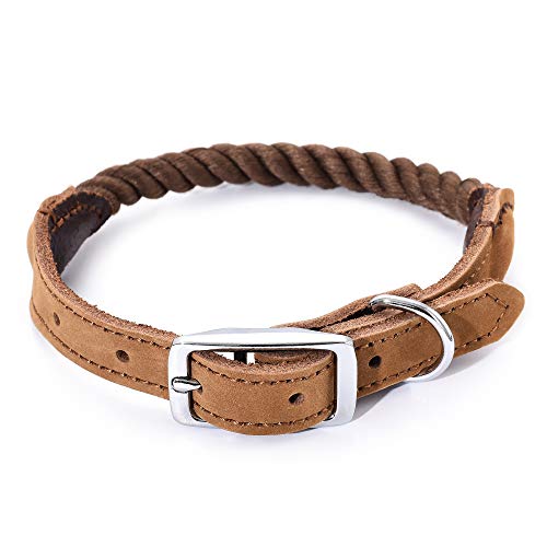 Mile High Life Collar de Cuero Genuino de Cuerda de algodón de Primera Calidad Perro (M, Marron Oscuro )