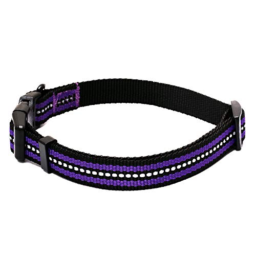 Mile High Life Combo Pack de Collar de Correa para Perro Raya Reflectante 3M (M, Morado 4)