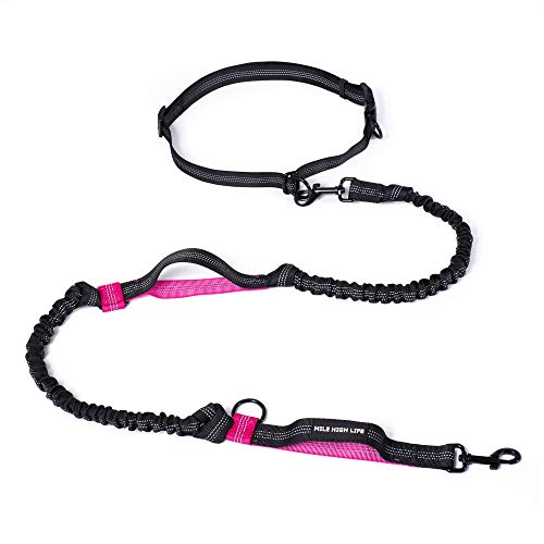 Mile High Life Manos Libres retráctiles para Perros Leash Bungees Negros Dobles Reflectantes (213CM, Rosa Caliente)