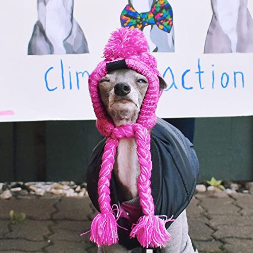 Milifeel Gorros medianos y grandes para perros cálidos y a prueba de viento, gorro de animal para mascotas, gorro de lana para mascotas (S, rojo rosa)