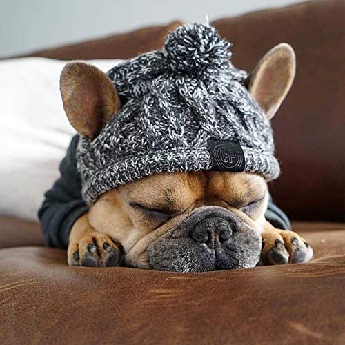 MiOYOOW Gorro de punto para perro, gorro de invierno para perro, gorro de punto para perros pequeños, medianos y grandes