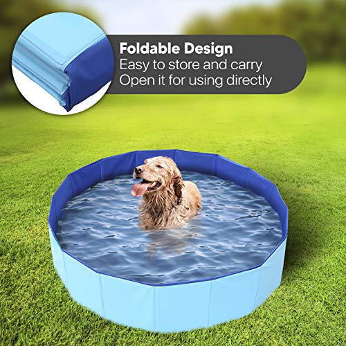 Mirtillo & Memole Piscina Rígida Plegable para Perros y Gatos y Mascotas Grandes XL (120 x 30, Azul)