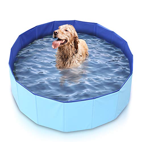 Mirtillo & Memole Piscina Rígida Plegable para Perros y Gatos y Mascotas Grandes XL (120 x 30, Azul)