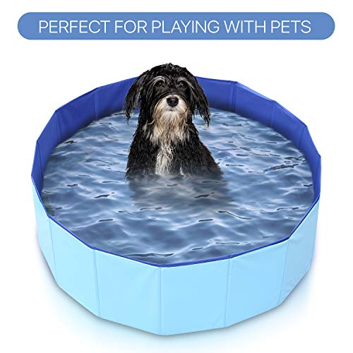 Mirtillo & Memole Piscina Rígida Plegable para Perros y Gatos y Mascotas Grandes XL (120 x 30, Azul)