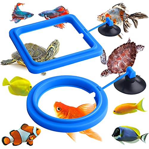 Molain Anillo de alimentación de peces, 2 piezas alimentador de peces acuario peces tortuga tanque accesorios alimentador círculo para Guppy, Bettas, pez dorado, tortuga