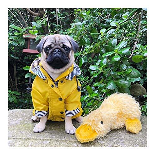 MOLUO Chubasquero para perros grandes, con capucha, abrigo para mascota, ropa de bulldog y carlino retro, impermeable (color: amarillo, talla: XXXL)